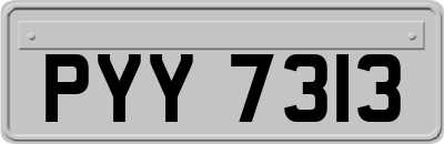 PYY7313