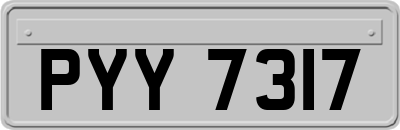 PYY7317