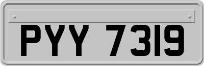 PYY7319