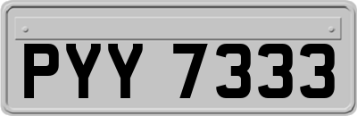 PYY7333