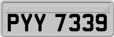 PYY7339