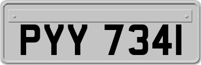 PYY7341