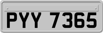 PYY7365