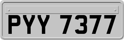 PYY7377