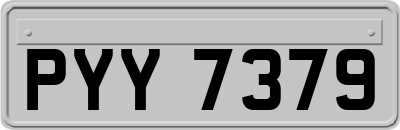 PYY7379