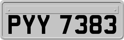 PYY7383