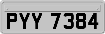 PYY7384