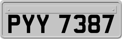 PYY7387
