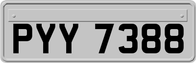 PYY7388