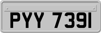 PYY7391