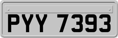 PYY7393