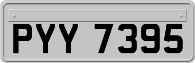 PYY7395