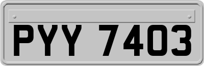 PYY7403