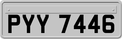 PYY7446