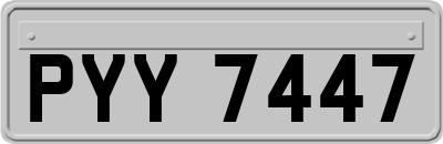 PYY7447