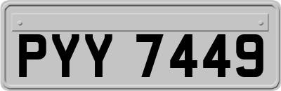 PYY7449