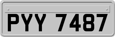 PYY7487