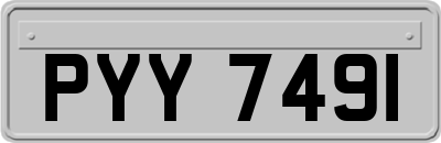 PYY7491