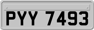 PYY7493