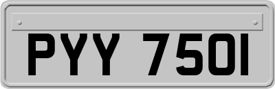 PYY7501