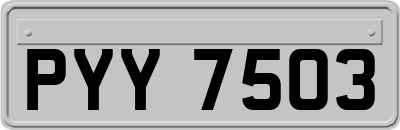 PYY7503