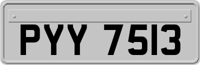 PYY7513