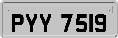 PYY7519