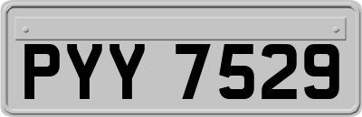 PYY7529