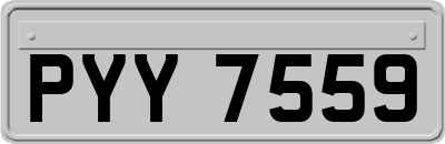 PYY7559