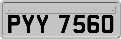 PYY7560