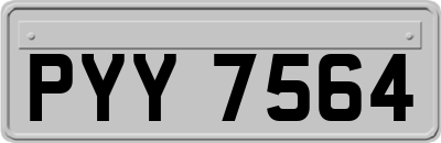 PYY7564