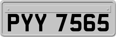 PYY7565