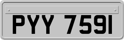 PYY7591