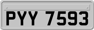 PYY7593