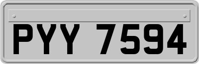 PYY7594