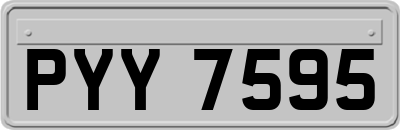 PYY7595