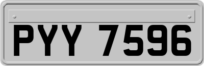 PYY7596
