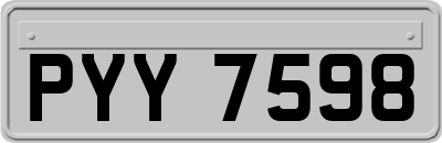 PYY7598