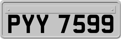 PYY7599