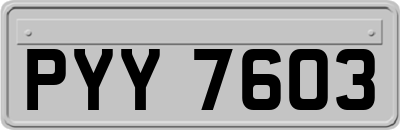PYY7603