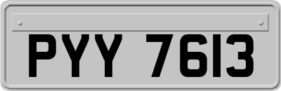 PYY7613