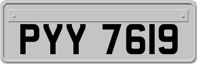 PYY7619