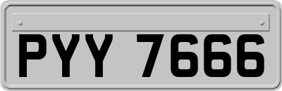 PYY7666