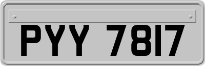 PYY7817