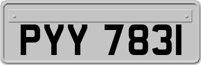 PYY7831