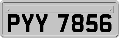 PYY7856