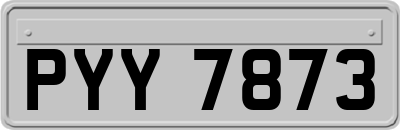 PYY7873