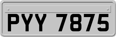 PYY7875