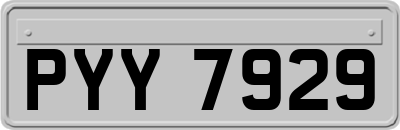 PYY7929