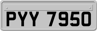 PYY7950